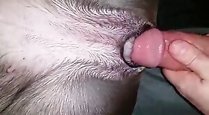 alex linarte recommends sexo con animales videos pic
