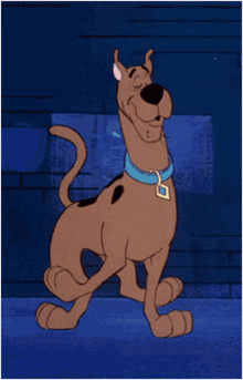 azad qadri recommends Scooby Doo Where Are You Gif