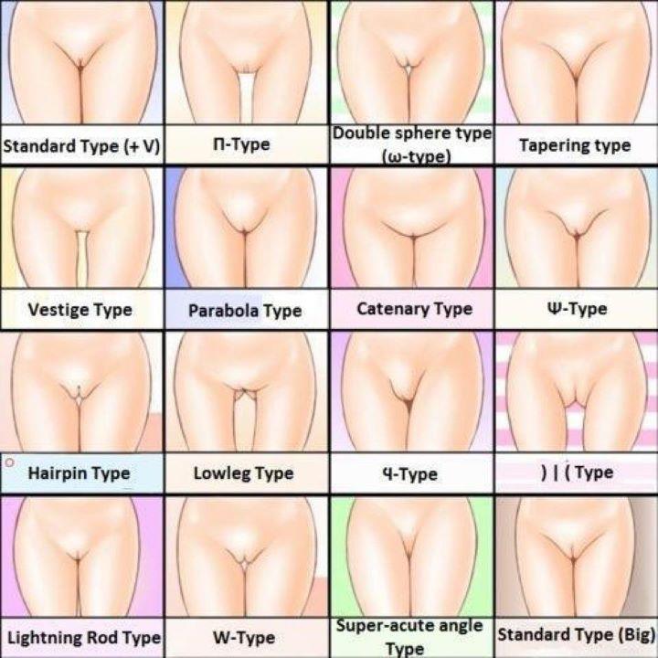Different Types Of Pussies hottest milf