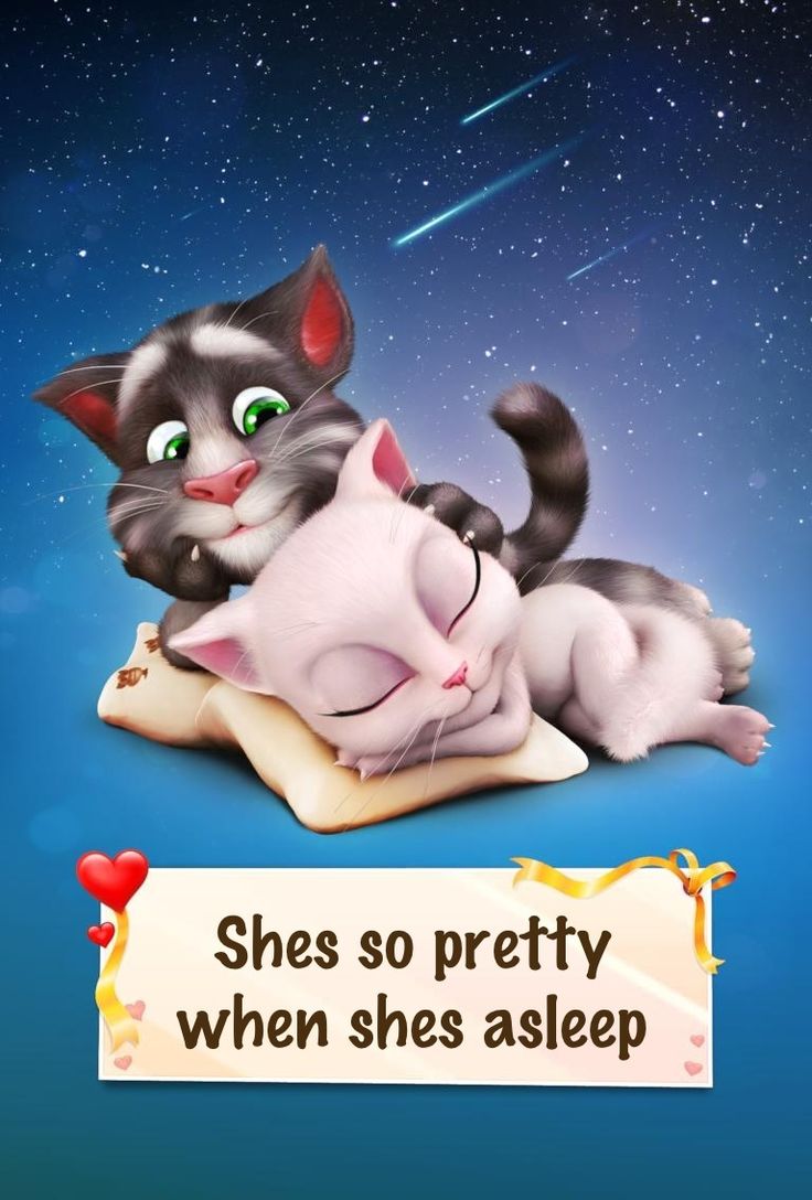 adam stolz recommends talking tom and angela having sex pic