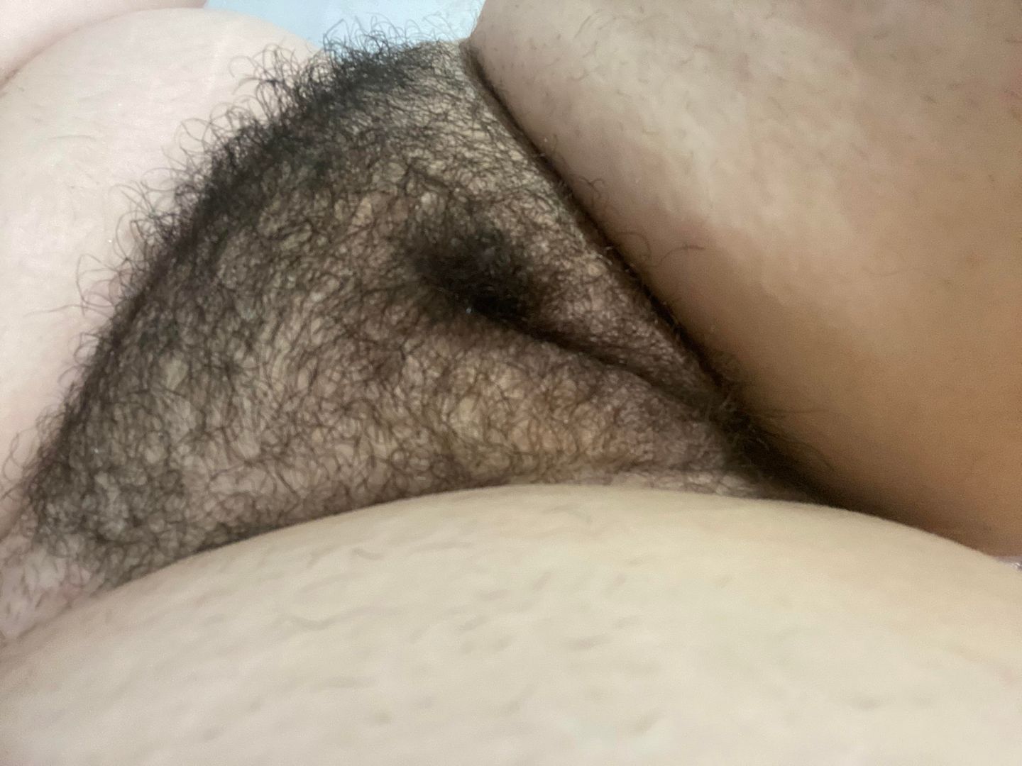 chuck florence add eating fat hairy pussy photo