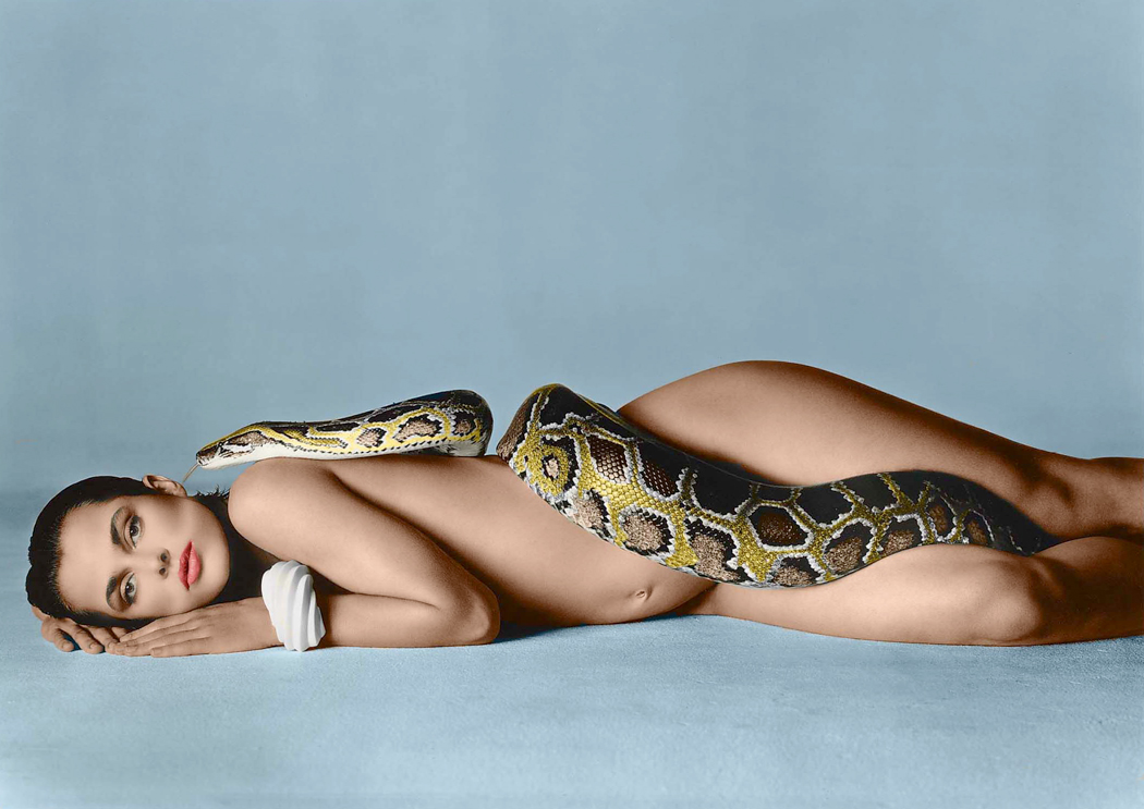 Naked Woman With Snake damon dice