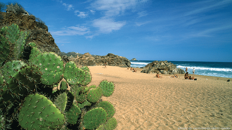 colette mcinerney recommends nude beach in mexico pic