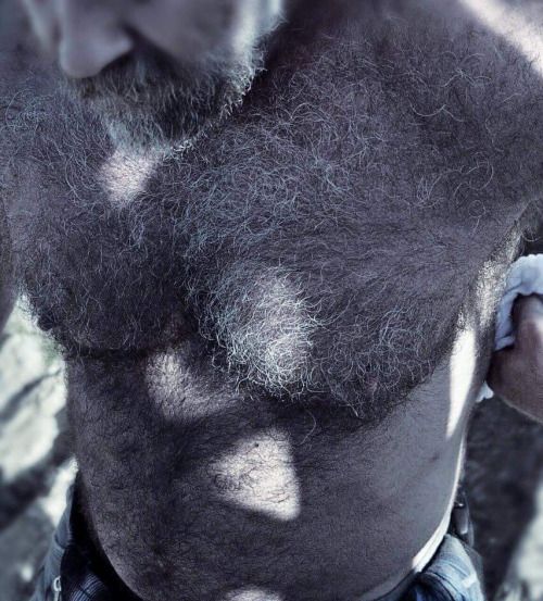 bear men video tumblr