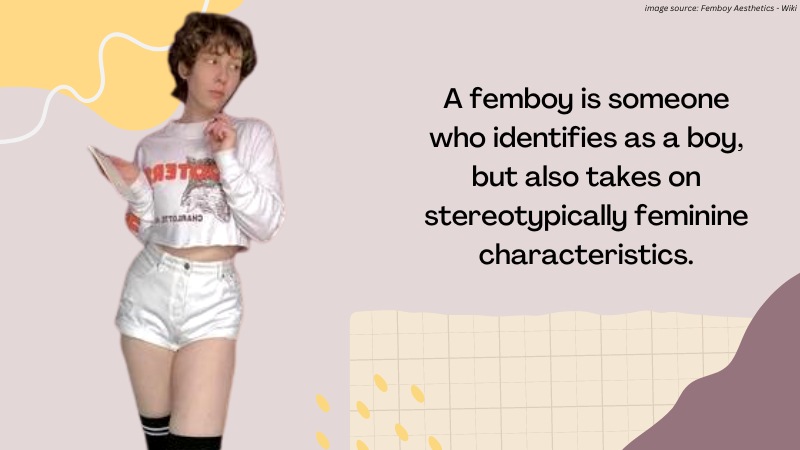 annie mcgregor recommends What Is A Femboy