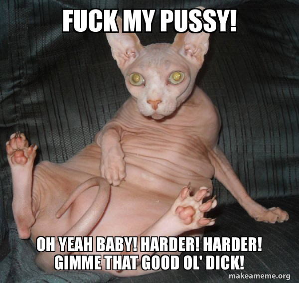 Fuck My Pussy Meme in oakville