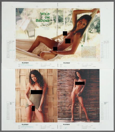 anton van staden recommends brooke burke playboy photos pic