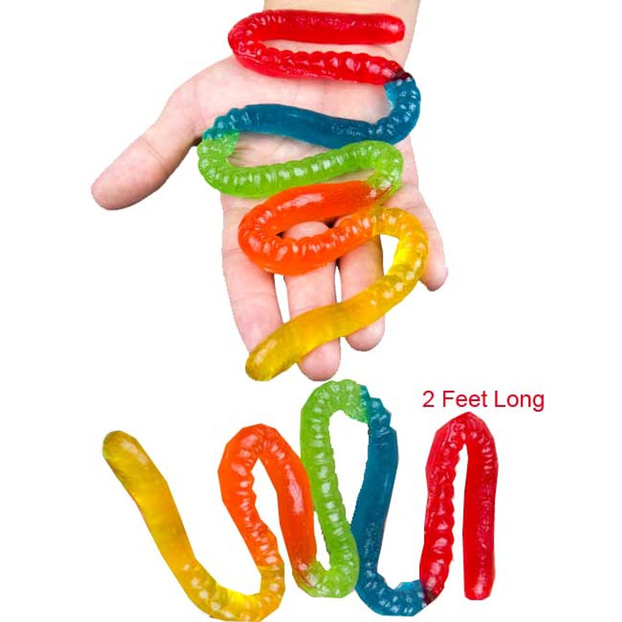 danielle chaves recommends 2 Ft Gummy Worm