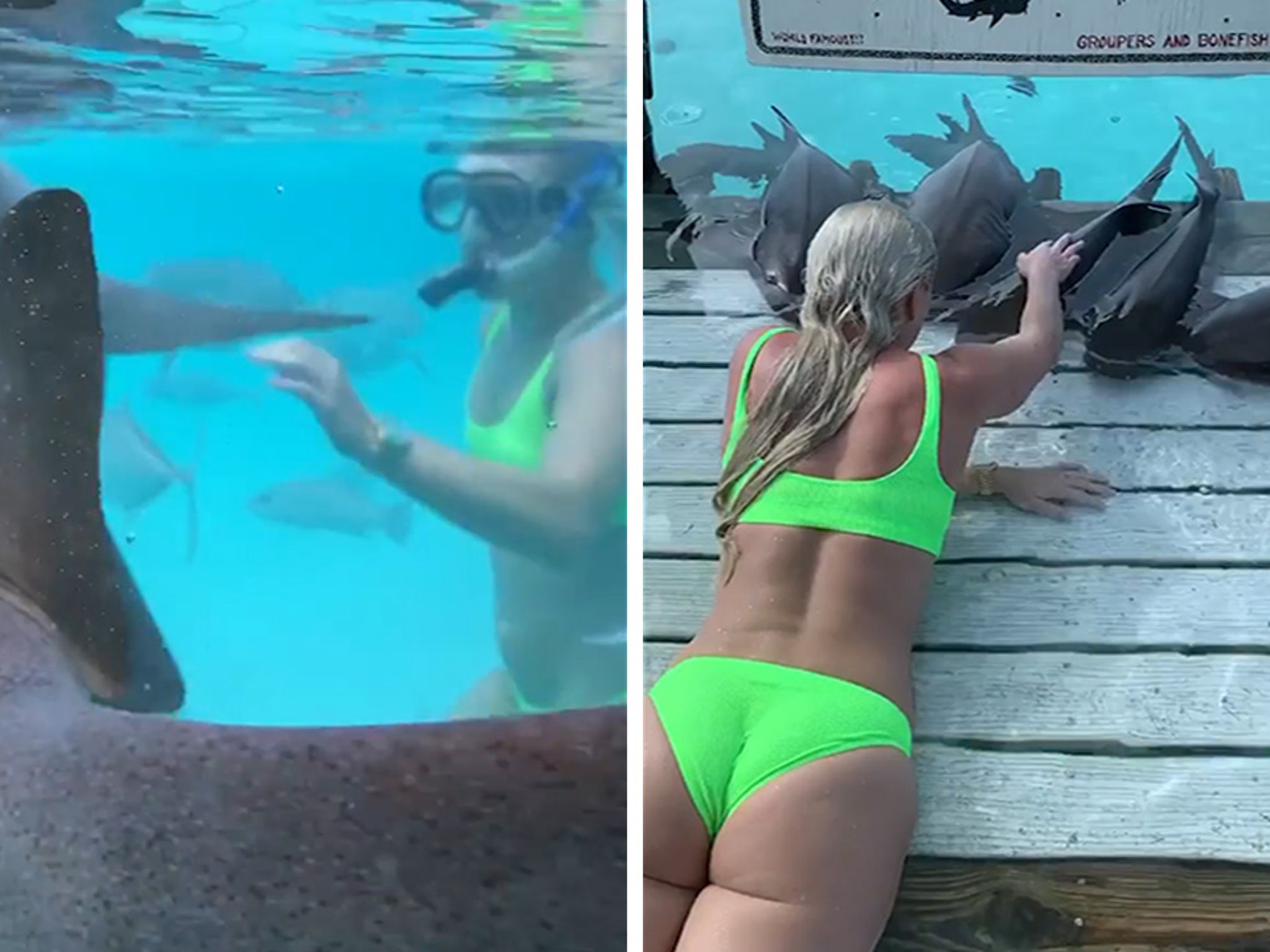 Lindsey Vonn Shark Week Bikini trash masturbates