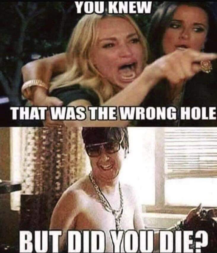 achim weber recommends Wrong Hole Meme