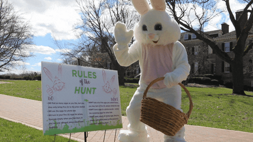 cathie wilcox recommends easter bunny gif pic
