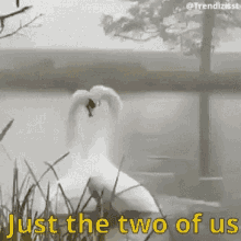 just the two of us gif