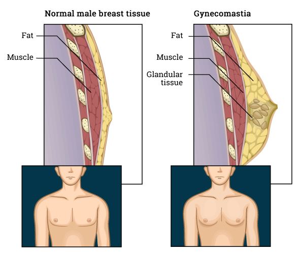 Best of Budding breast photo