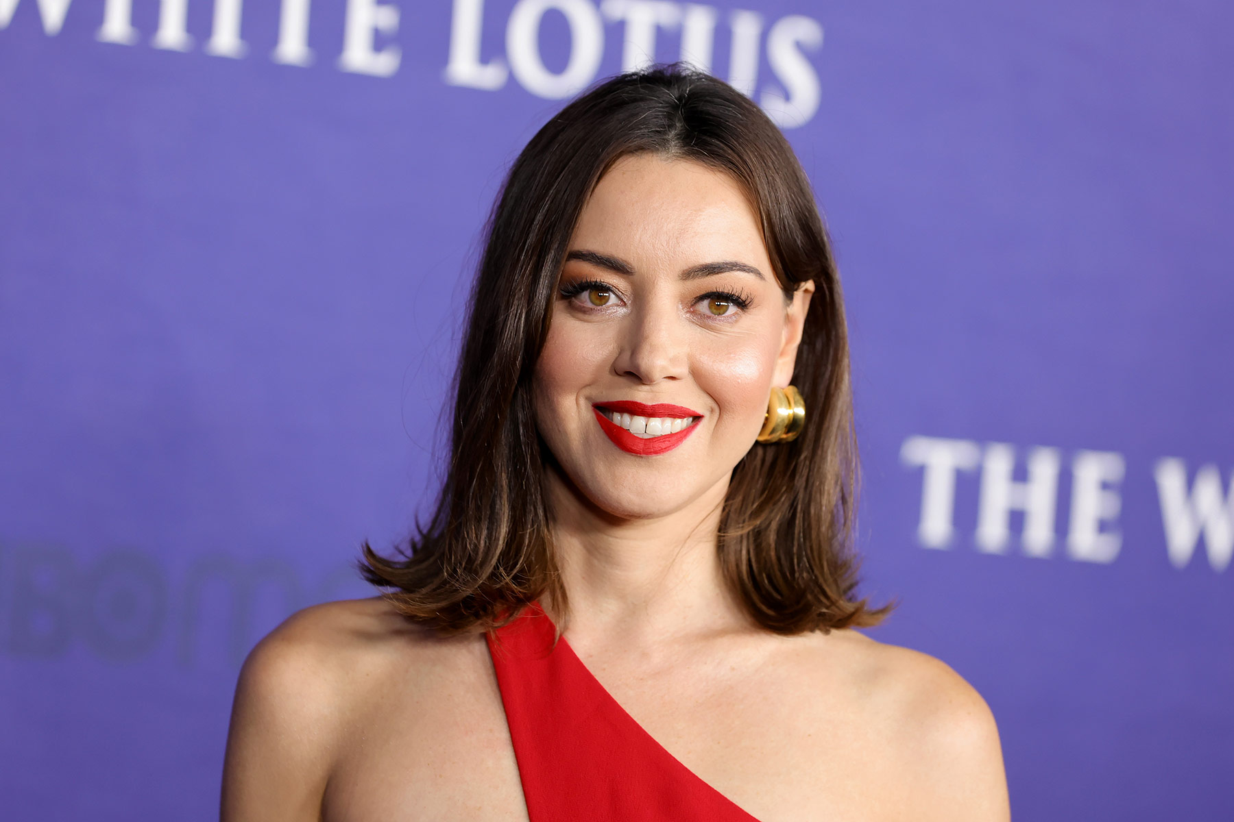 ali thorne recommends aubrey plaza sex tape pic