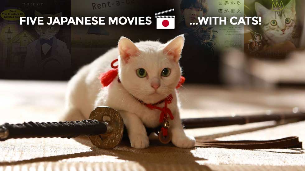Japanese Cat 3 Movies mula photos
