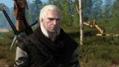 conan mayes recommends witcher 3 hood mod pic