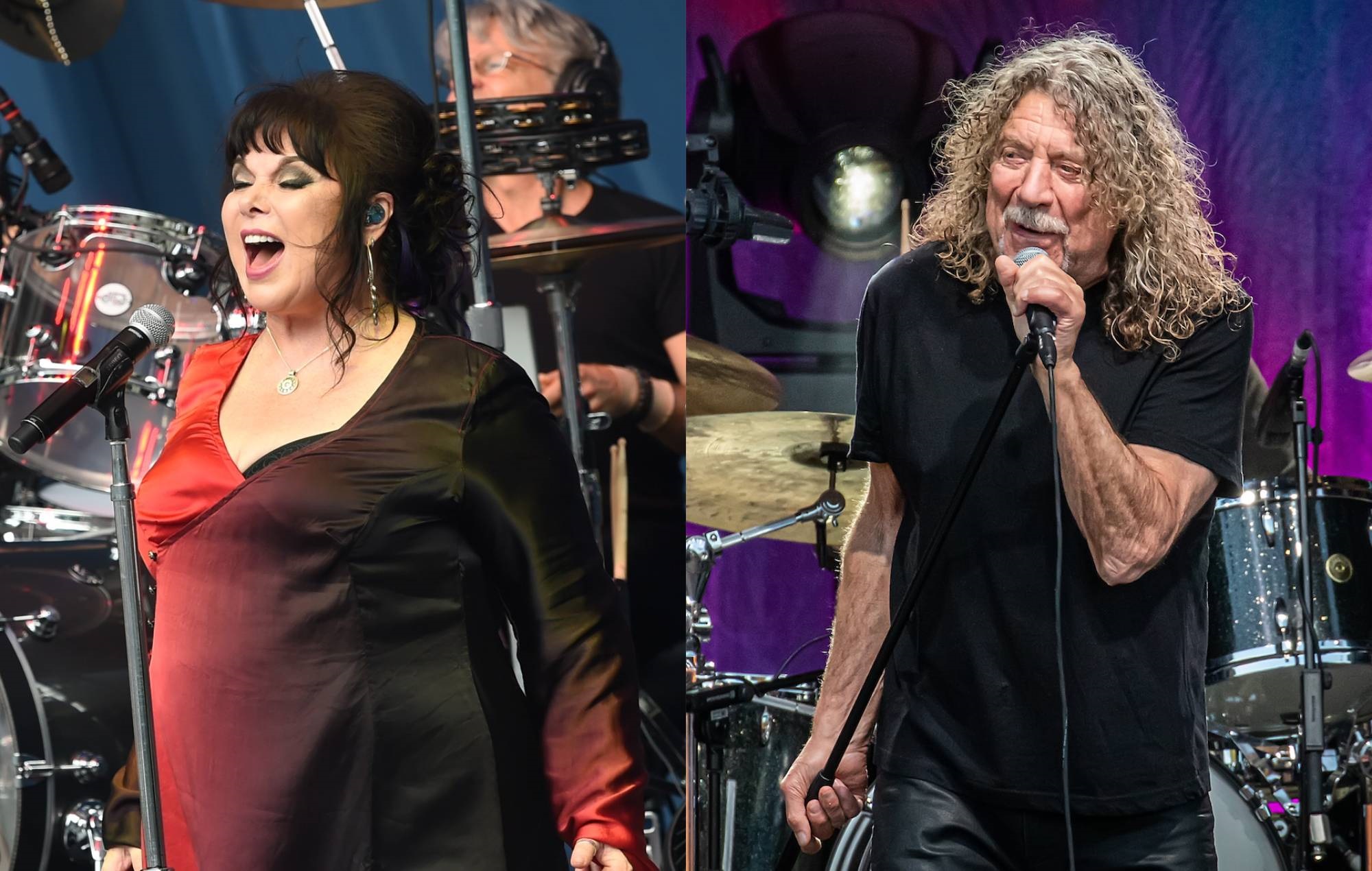 beverly dye recommends Ann Wilson Photos