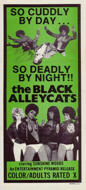 bleach itchigo recommends Black Alley Cats Movie