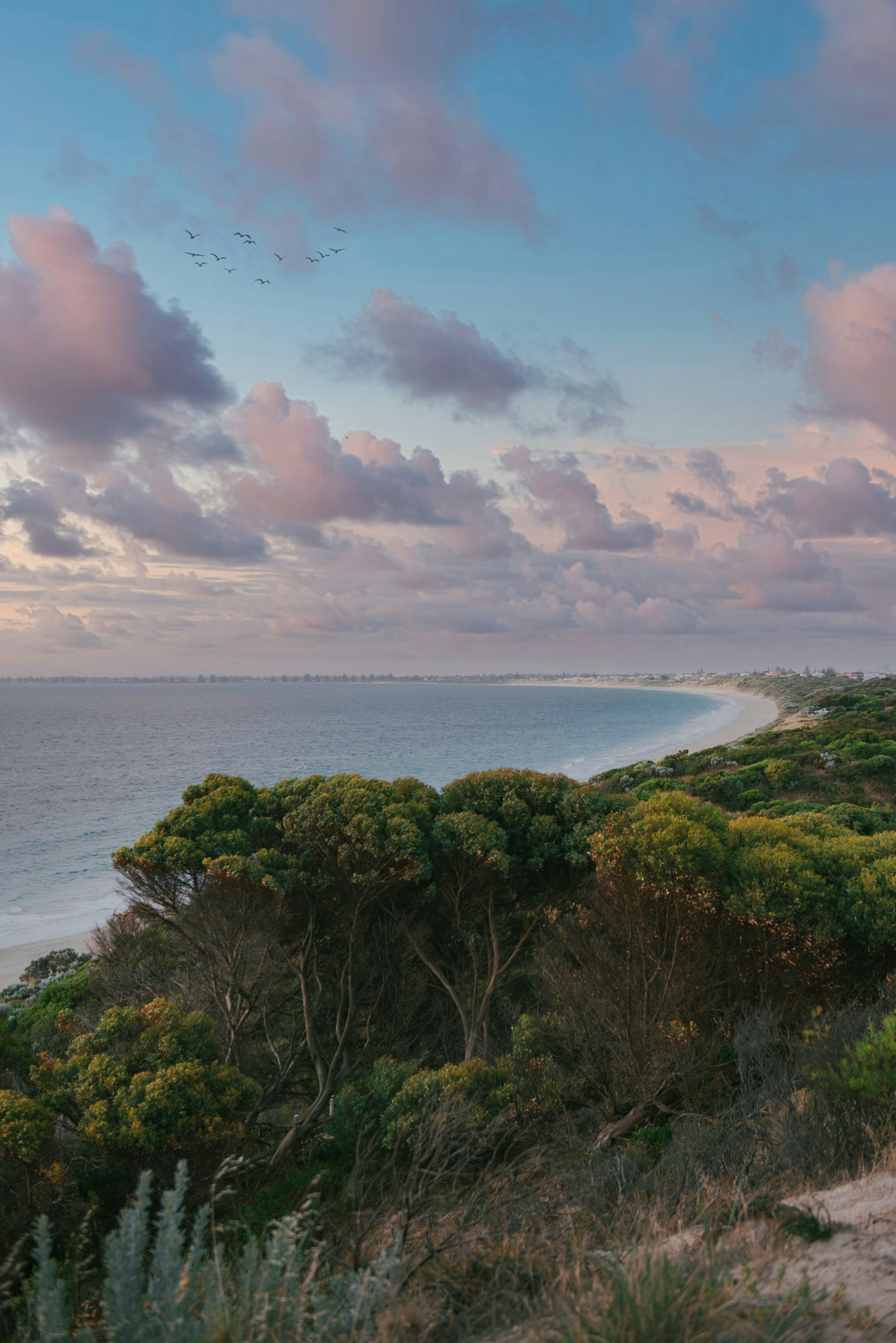 Best of Beach bush tumblr