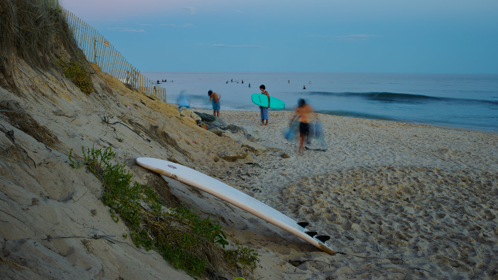 don hallock add beach bush tumblr photo