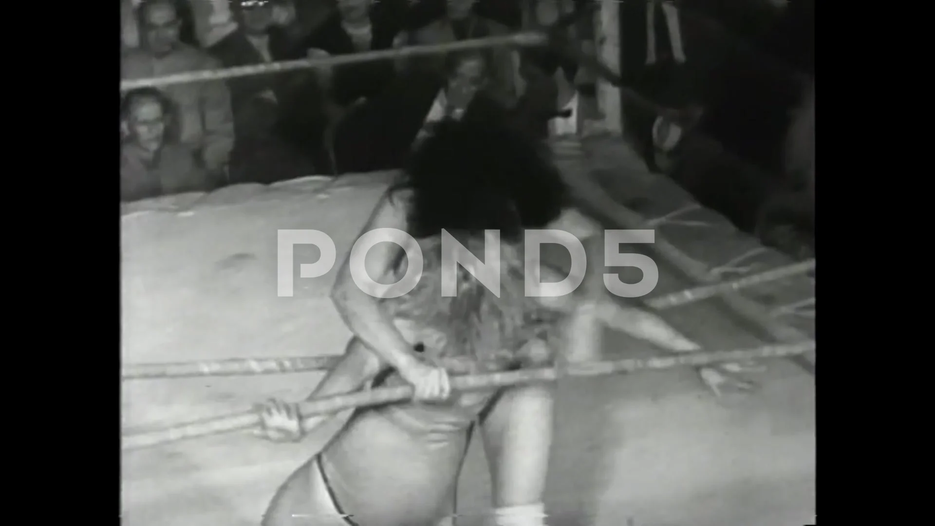 aaron trainor share vintage women pro wrestling photos