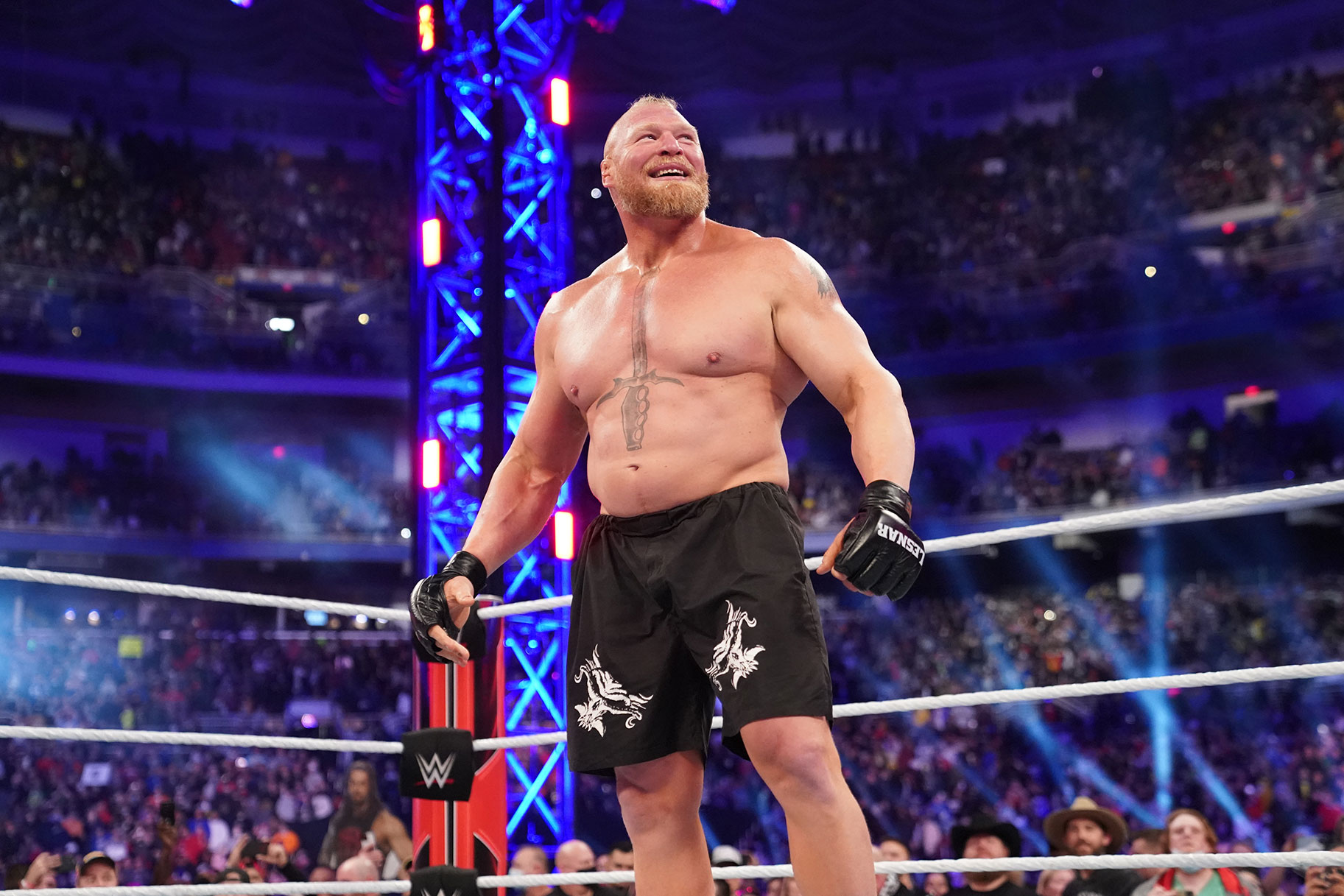 Best of Brock lesnar hd videos