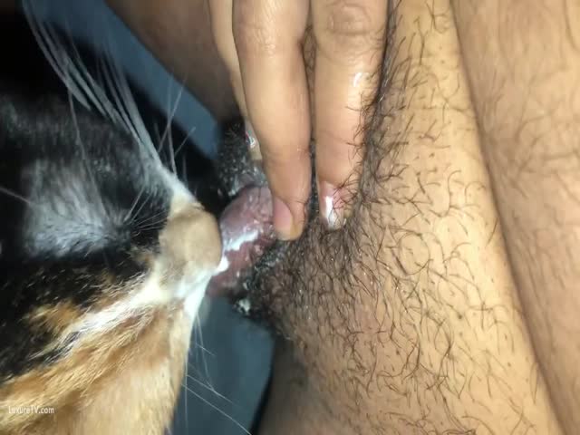 alex brackstone add photo cat lick my pussy