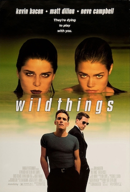 wild thing denise richards