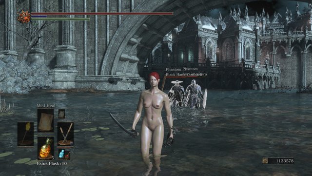 adi stuart recommends Dark Souls 3 Nudity