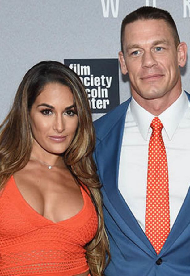 carrie moen recommends wwe diva nikki bella nude pic