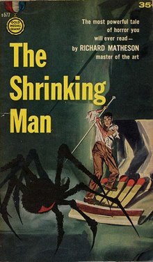 Slow Shrinking Man Stories tight video