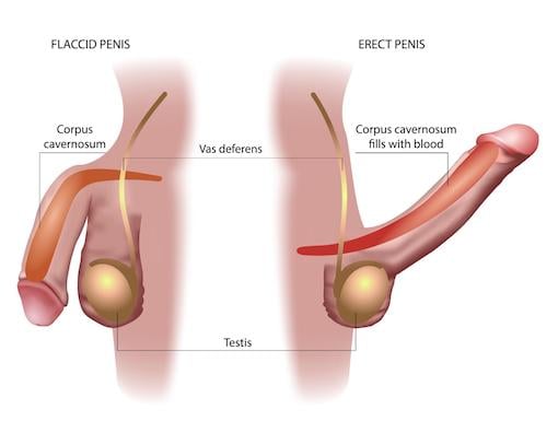 ada nasir recommends penis pump results pictures pic