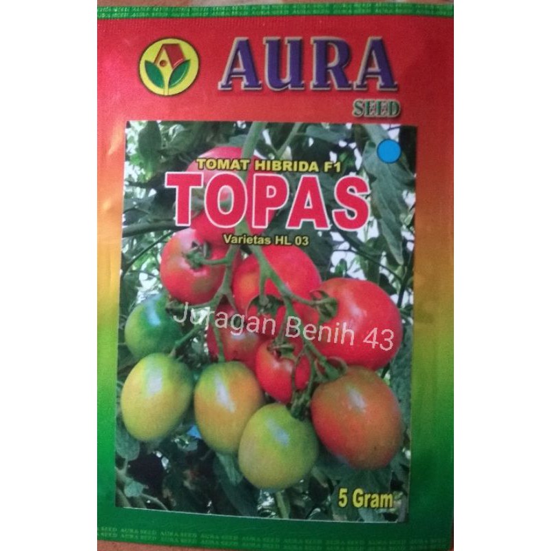 cheryl hargrove recommends Www Juragan Tomat Com