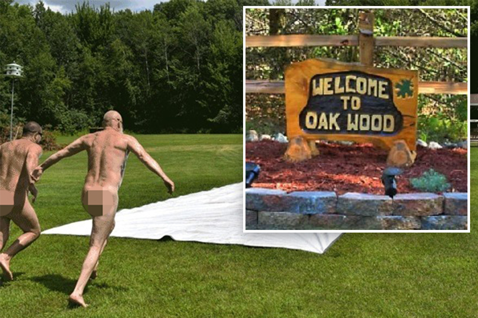 Family Nudist Resorts miss suckable