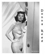 donna reed tits