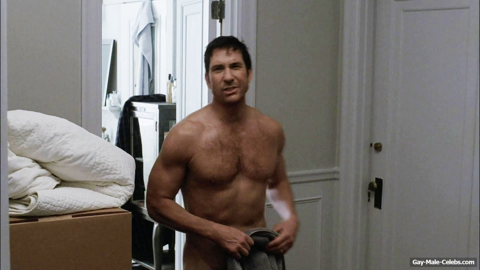 aaron northcutt recommends Dylan Mcdermott Naked