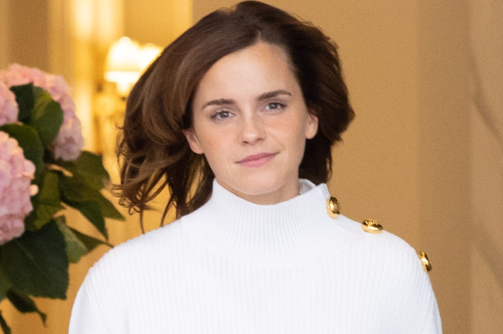 dave curtiss recommends emma watson down blouse pic