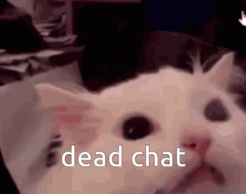 christa mathews recommends dead chat meme pic