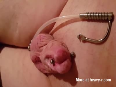 camoy king recommends Male Urethral Sounding Videos