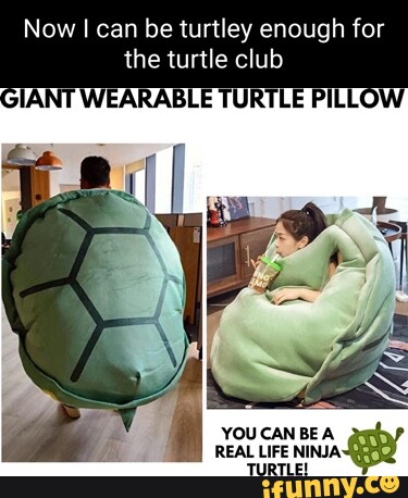 anders mathisen recommends turtley enough for the turtle club gif pic