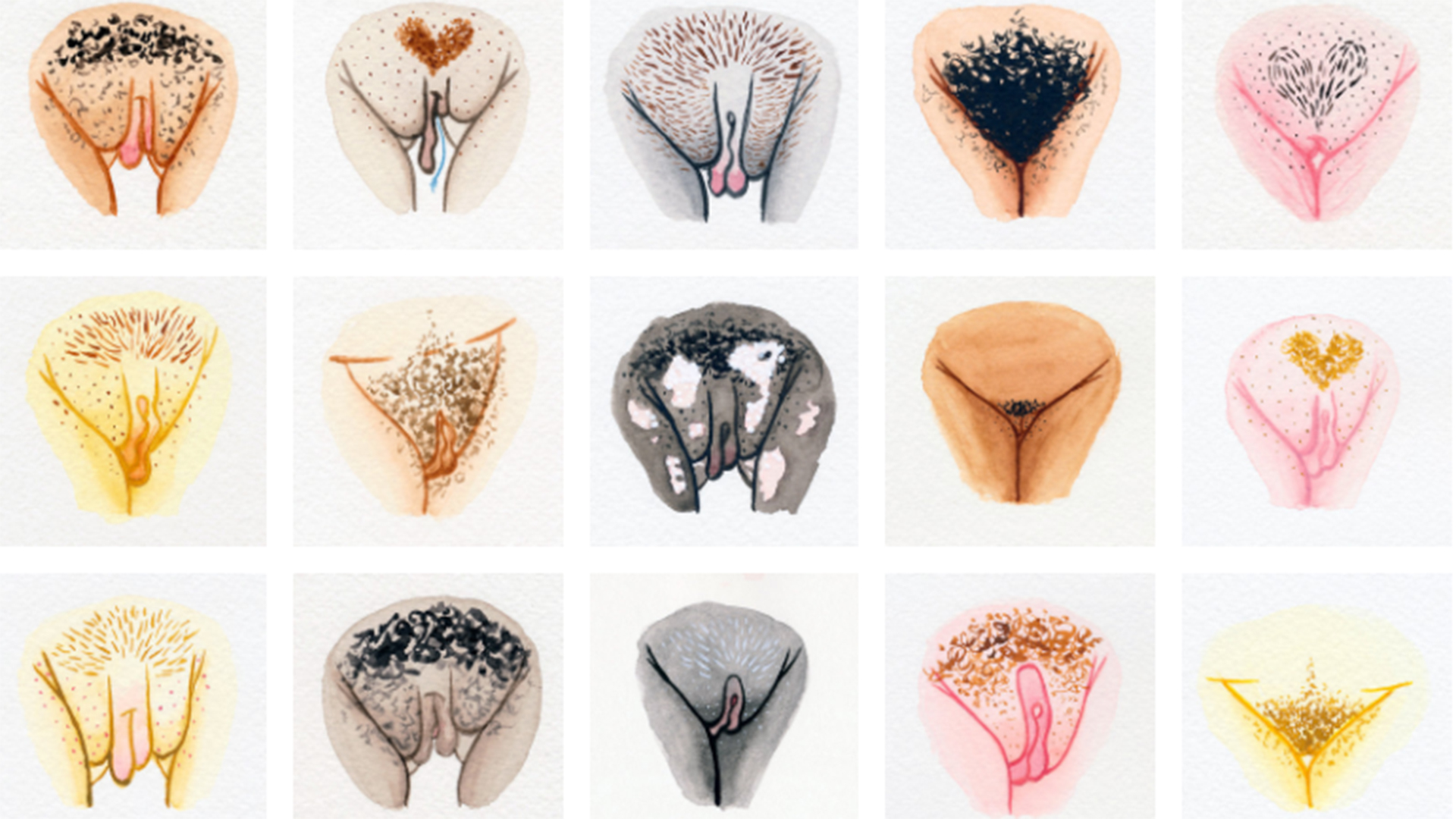 carl halpin recommends Fotos De Diferentes Vajinas