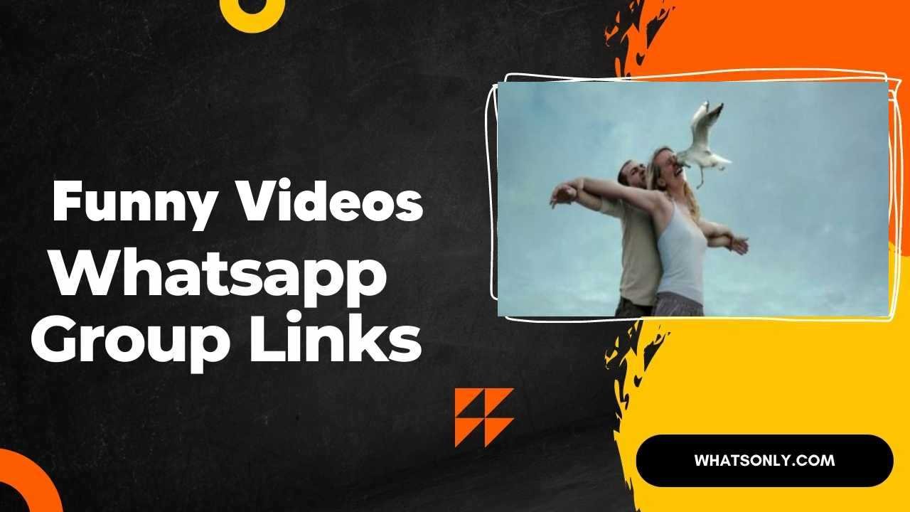 colton lynn recommends Free Funny Videos For Whatsapp