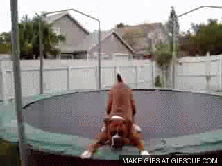 dimitris galaios recommends girls on trampolines gif pic