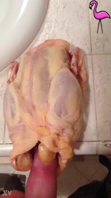 bethany vollmer recommends guy fucking a turkey pic