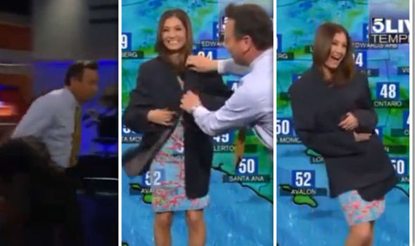 bojan zafirov recommends hot news anchors wardrobe malfunction pic