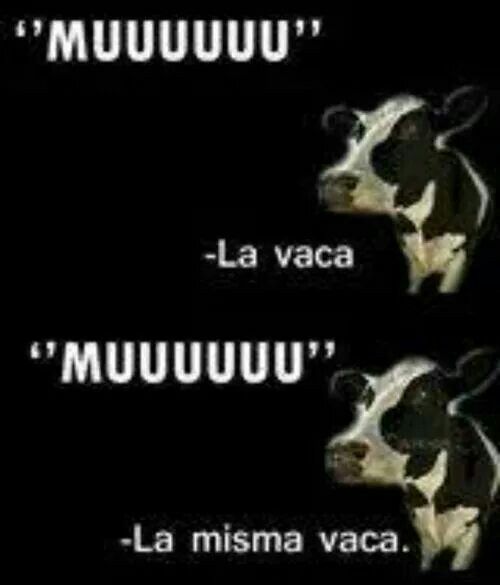 La Vaca Moo women lesbian