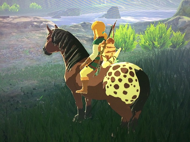 bianca dellaventura recommends legend of zelda breath of the wild zelda butt pic