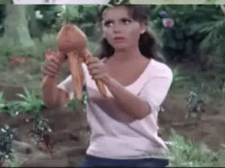 cynthia almaguer recommends Mary Ann Gilligans Island Gif