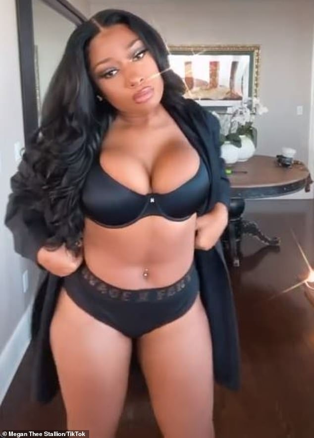 brenda mcbain recommends megan thee stallion panties pic