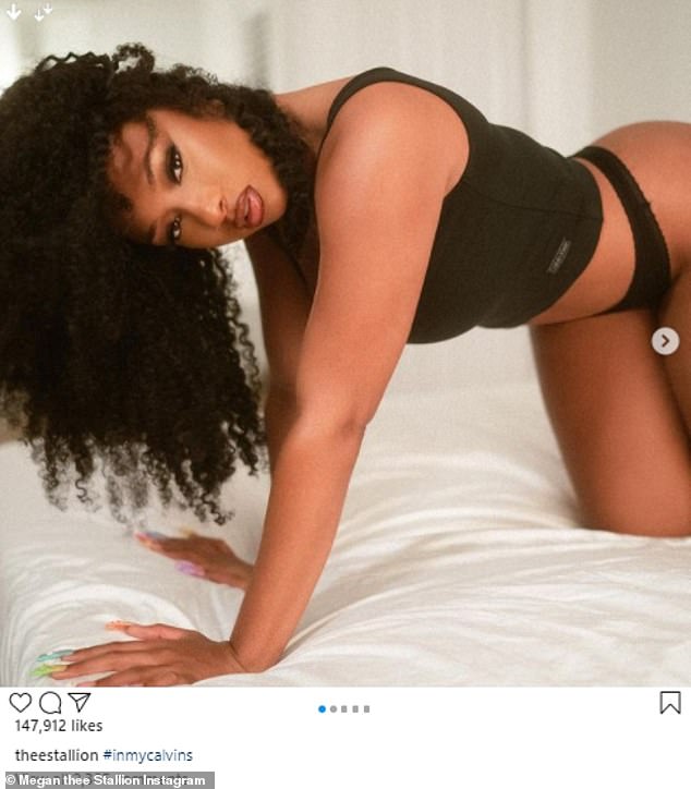 chiara zumbo recommends megan thee stallion panties pic